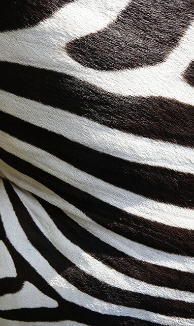 déplacements d'images